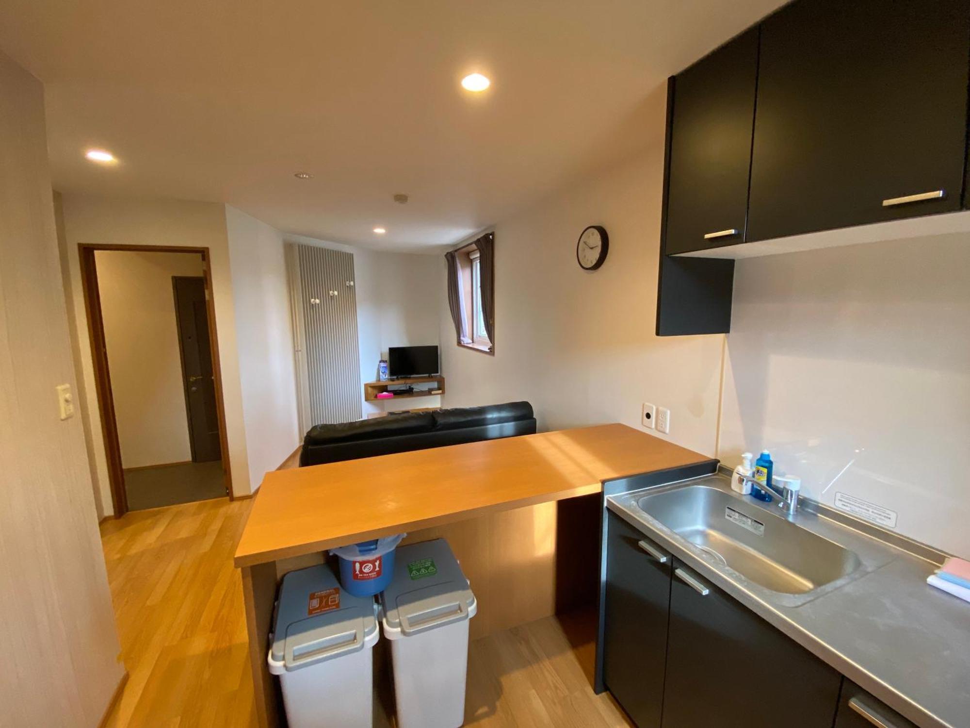 Snowbird Appartement
